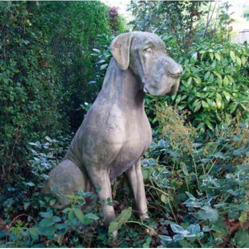 Great Dane Dog in Aged Cotswold Colour - Height 1150mm